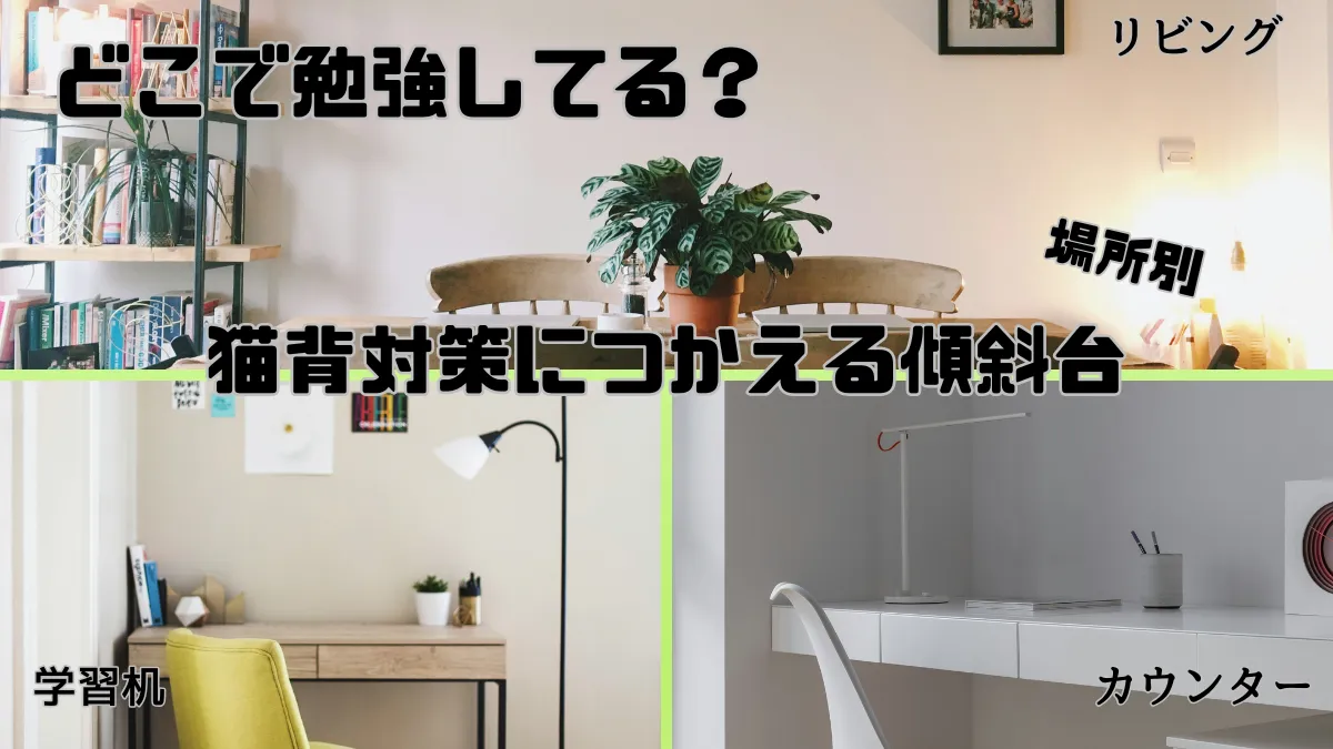 どこで勉強してる？猫背対策に使える傾斜台